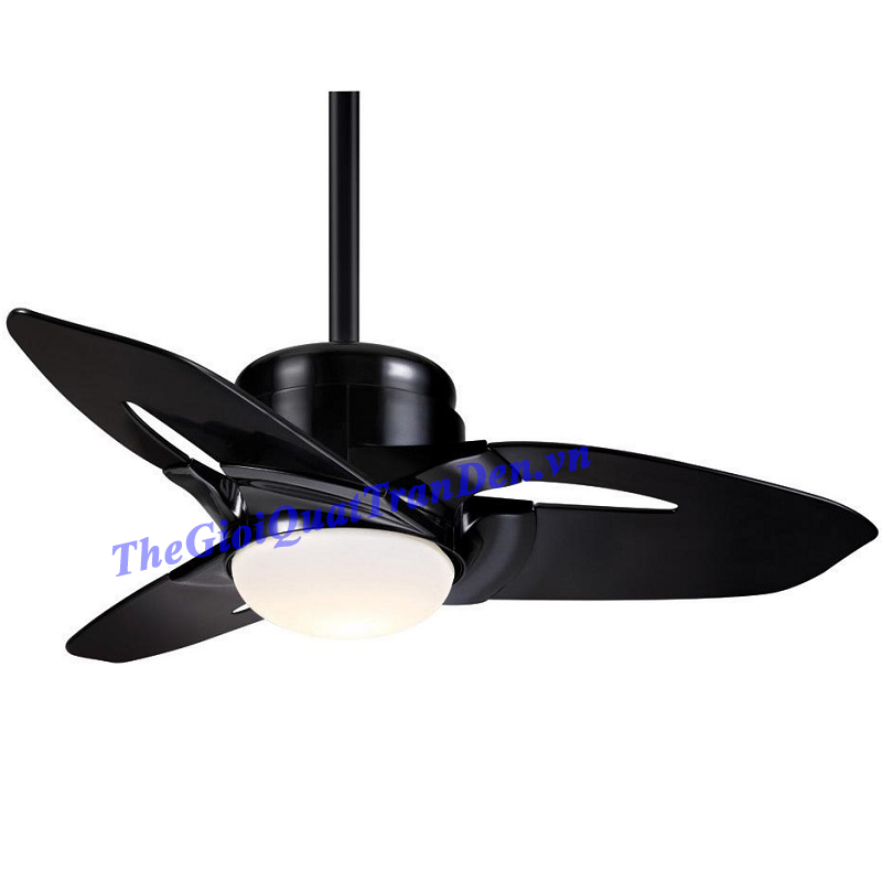 Quạt Trần Đèn Casablanca Starlet C29G12M
