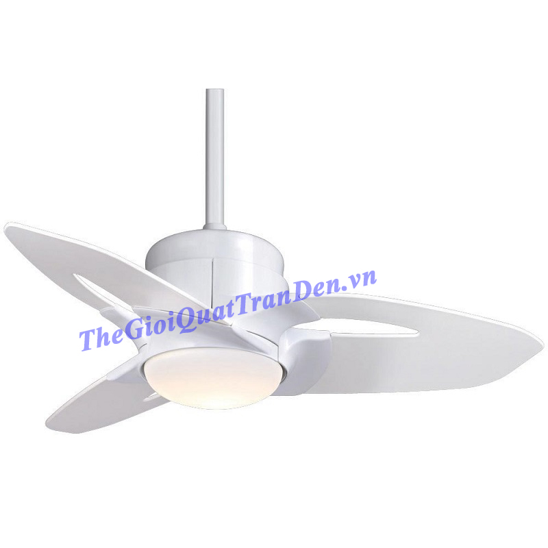 Quạt Trần Đèn Casablanca Starlet C29G11M