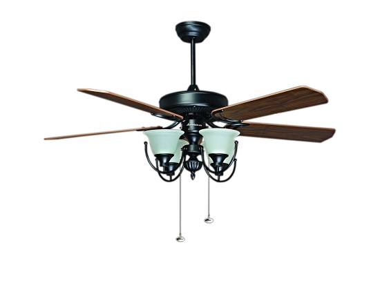 co-nen-mua-va-su-dung-quat-tran-den